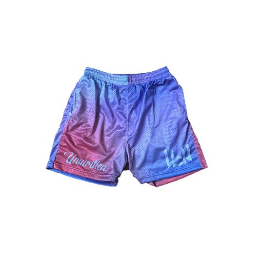 Pink/Purple Gradient Mesh Shorts